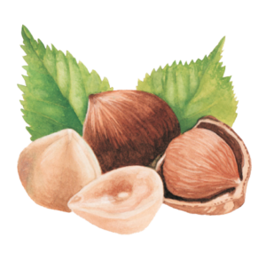 Hazelnut