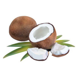 Coconut