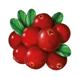 Cranberry