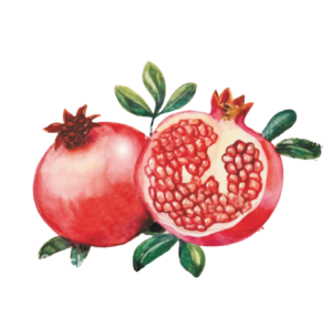 Pomegranate