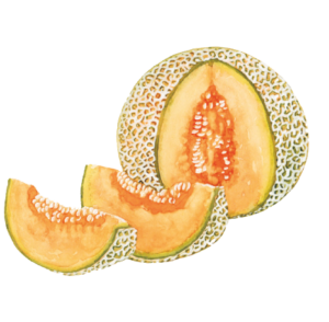 Melon