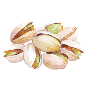 Pistachio